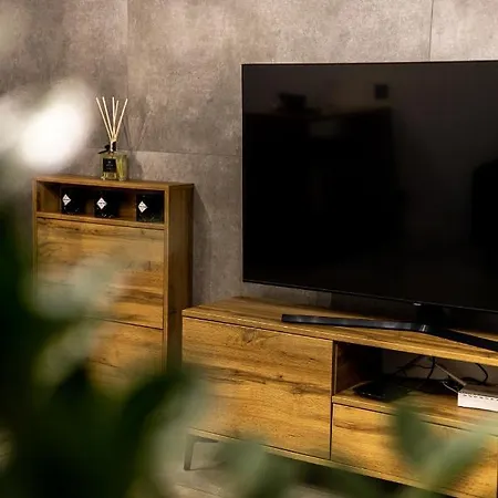 Exclusive Place 公寓 奥斯威辛